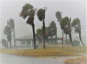 hurricane harvey